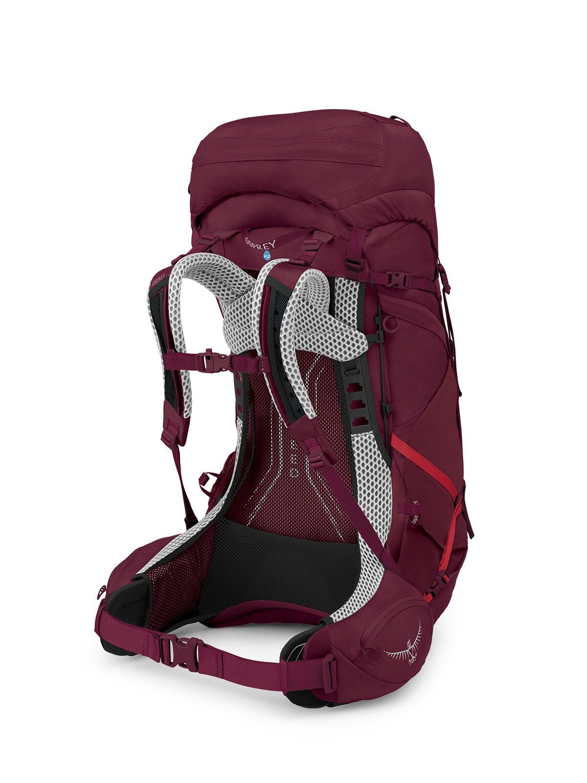Aura AG LT 50 Backpack detaljfanebilde.