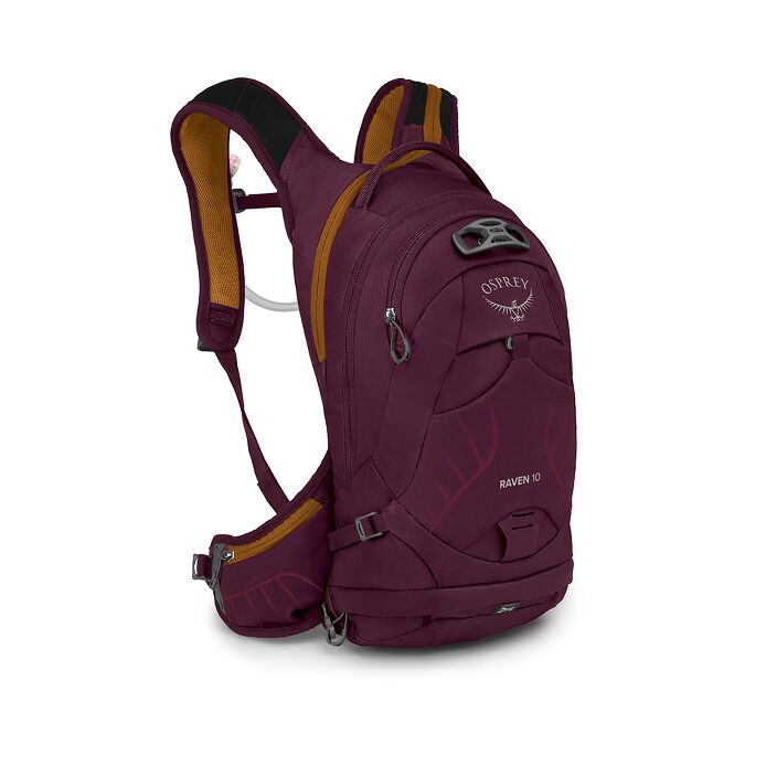 Raven 10