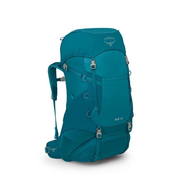 Ace 38 Backpack