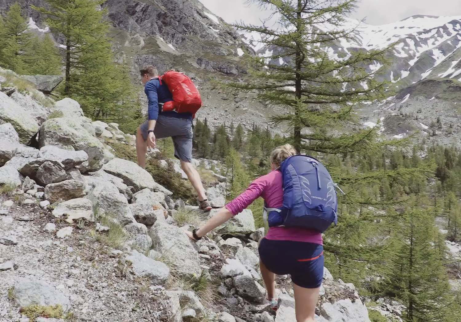 Talon & Tempest Hiking Backpacks