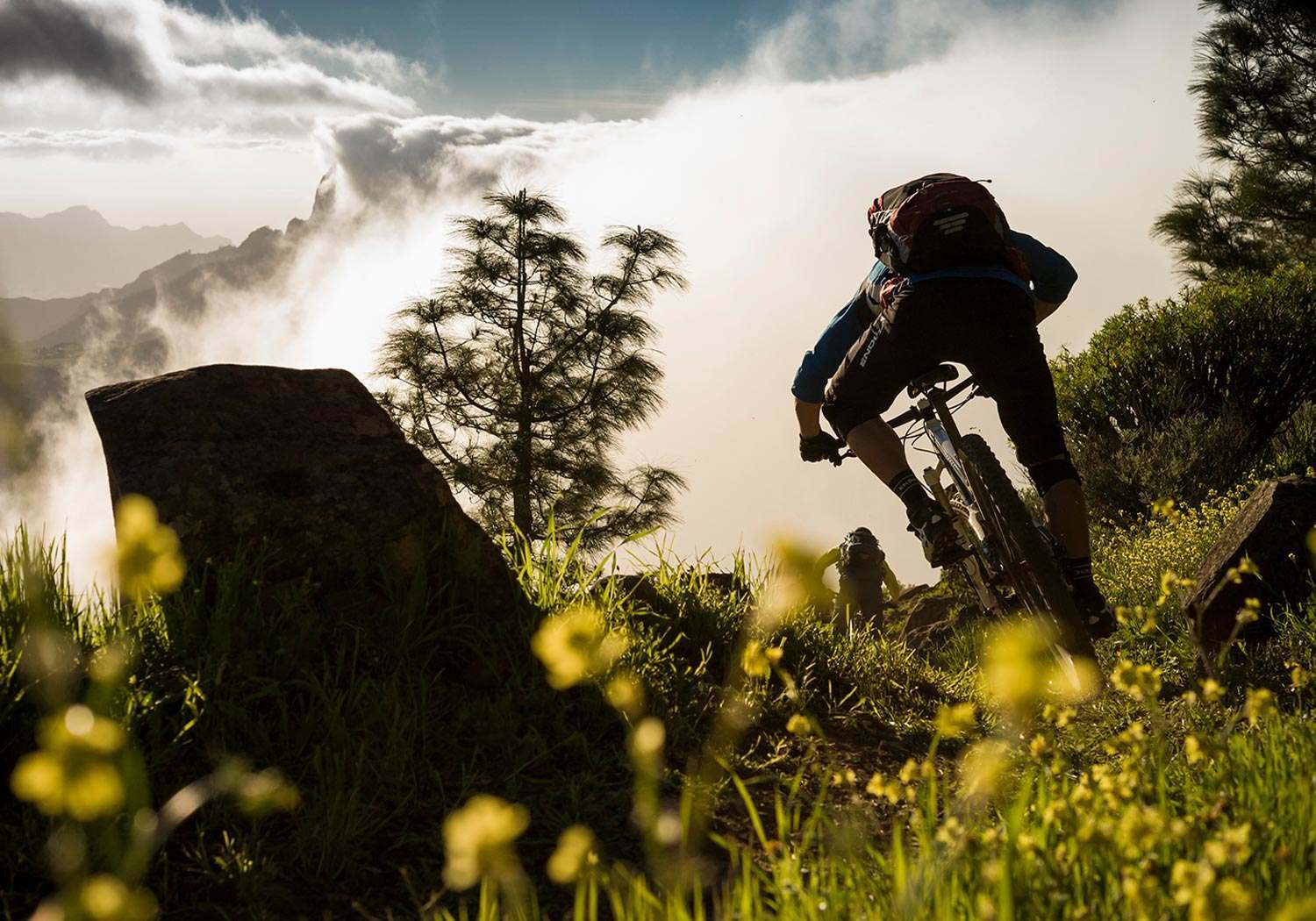 Professional Advice for Mountain Bike Beginners