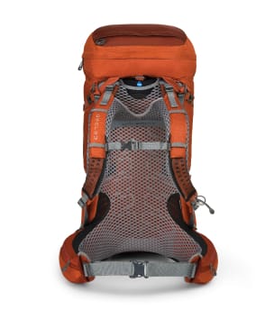 Et produktbilde av et ryggpanel i grått nettingstoff på en oransje Osprey-backpacking-ryggsekk på hvit bakgrunn. Hoftebeltet og bryststroppene er spent sammen.