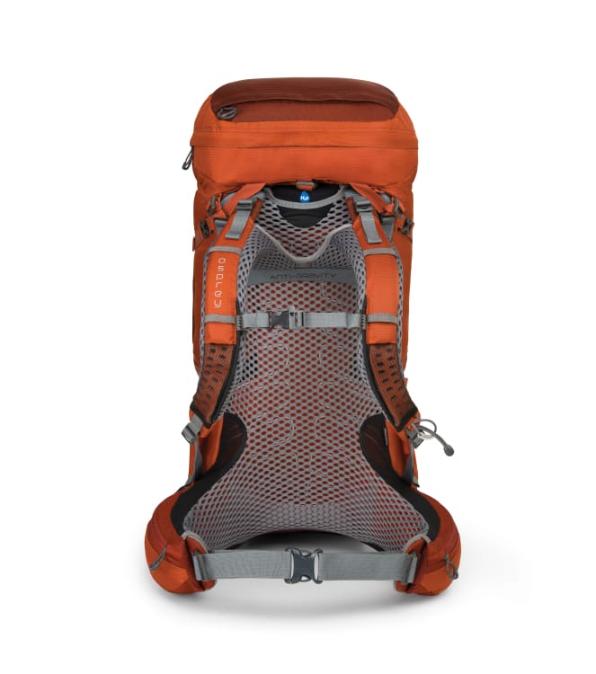 Et produktbilde av et ryggpanel i grått nettingstoff på en oransje Osprey-backpacking-ryggsekk på hvit bakgrunn. Hoftebeltet og bryststroppene er spent sammen.