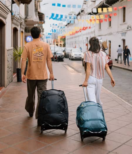 Wheeled Travel Pack