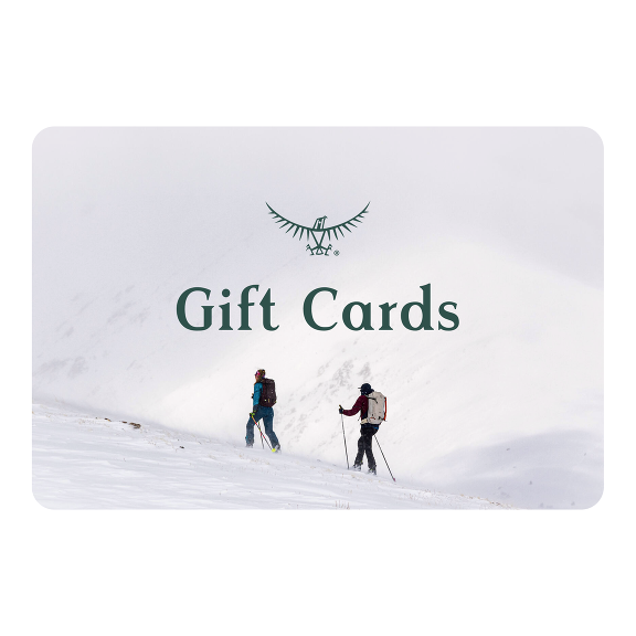 E Gift Cards