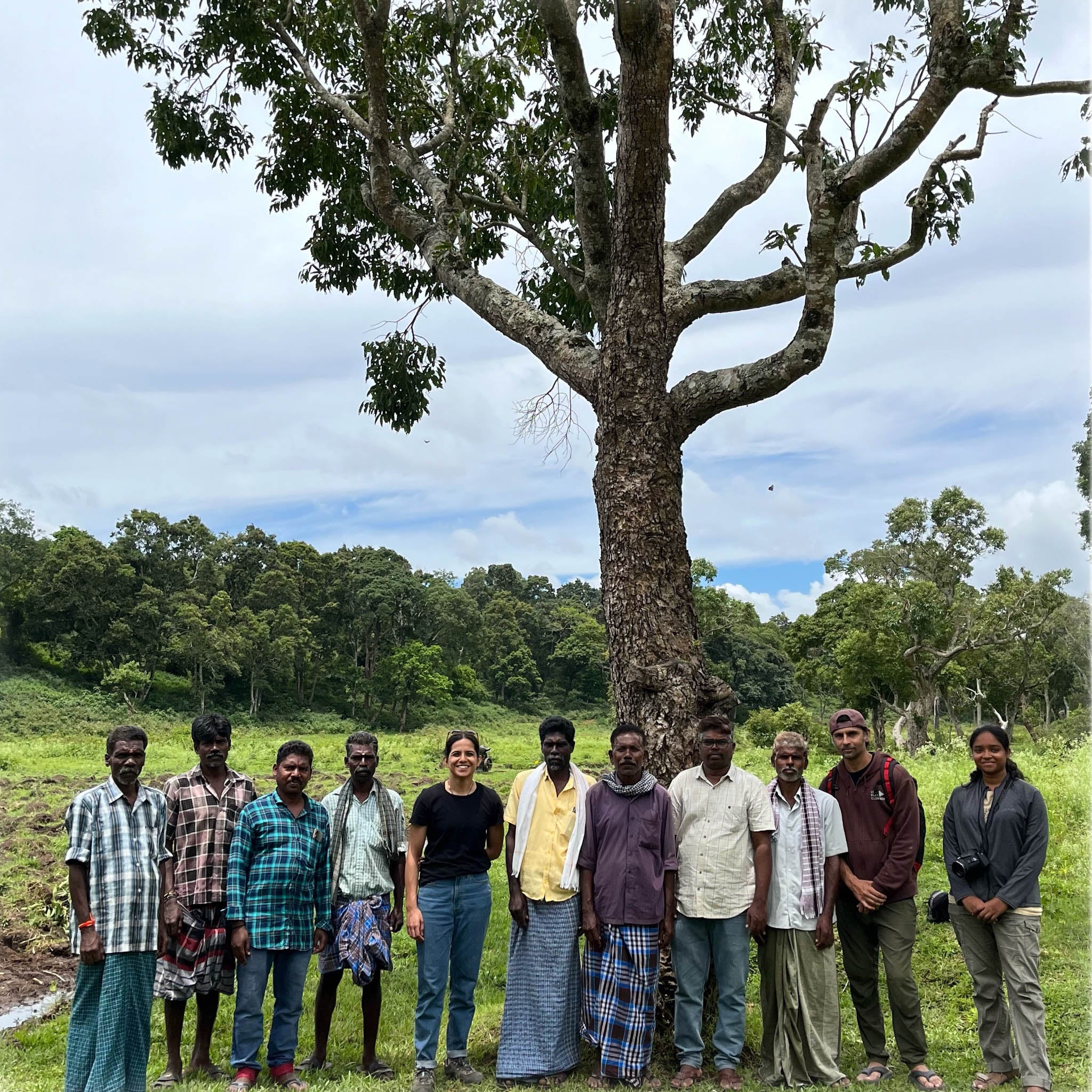 The team at Sathy, posing in front of a tree.