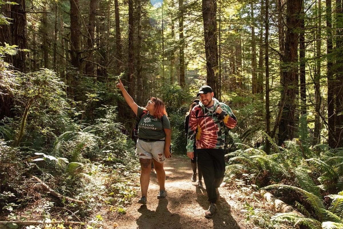 Two people walking through the woods, smiling; one pointing up towards the sky