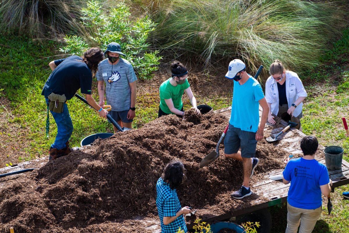 A group of individuals shoveling dirt for a tree planting