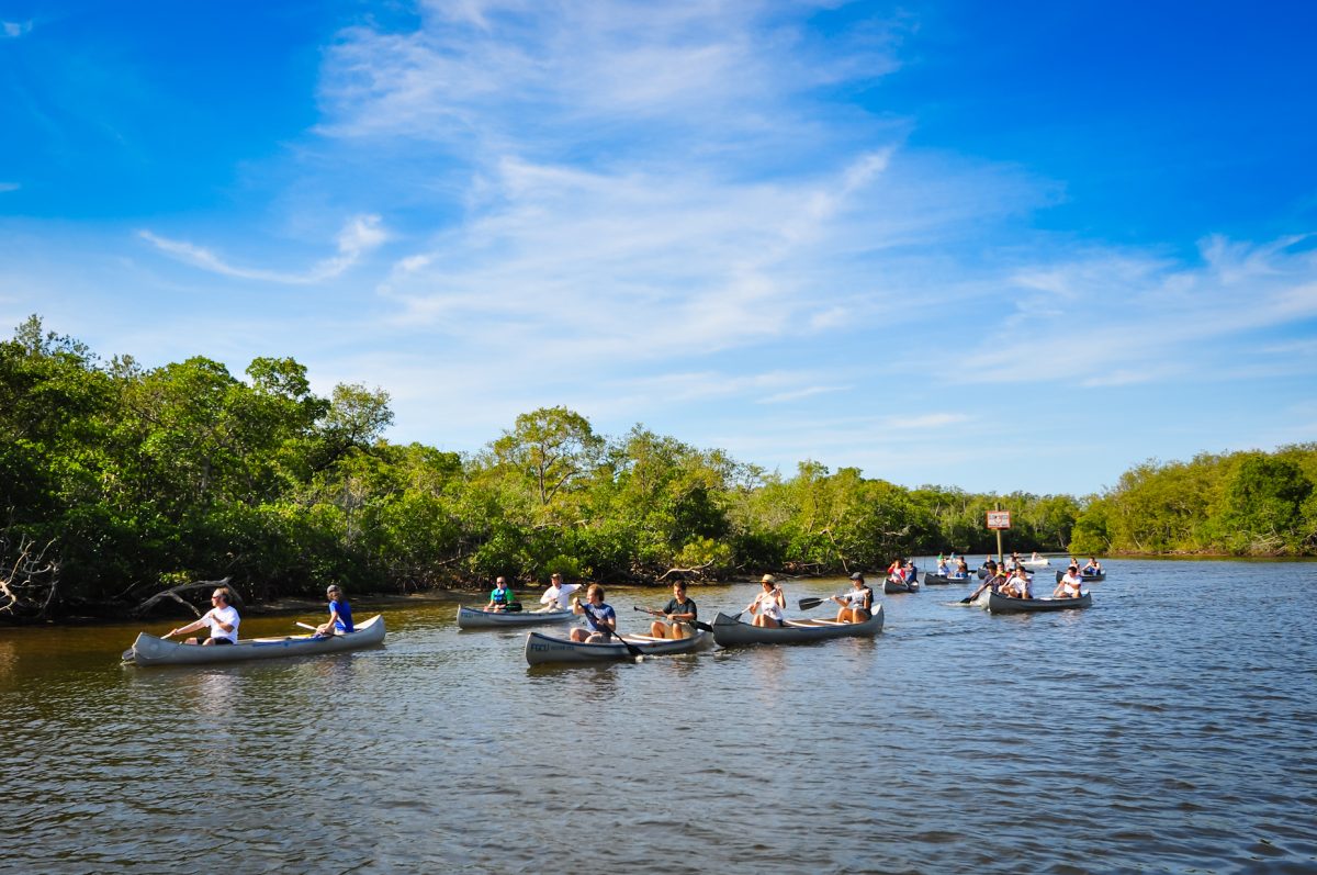 A group of kayakers in the backwaters of Florida