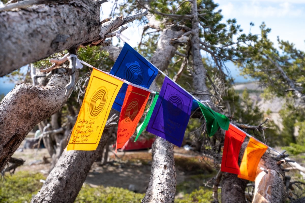 A close up of colorful prayer flags displayed among tree branches