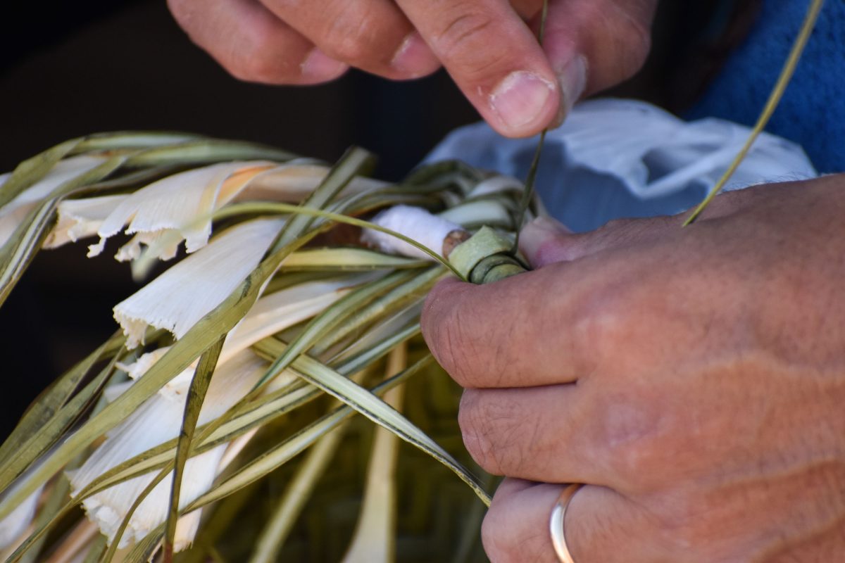 A close up of a man weaving with native plants