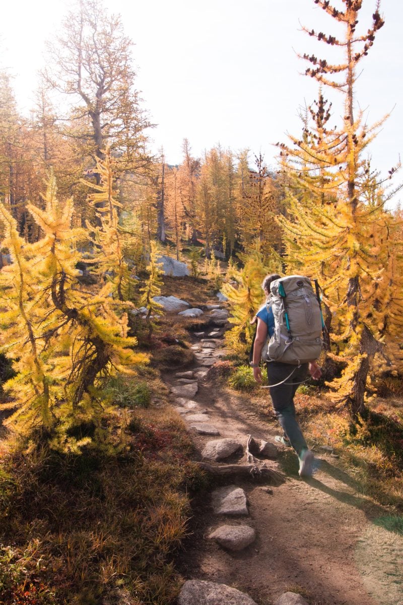 A woman wearing backpacking gear trekking through a forest of yellow trees