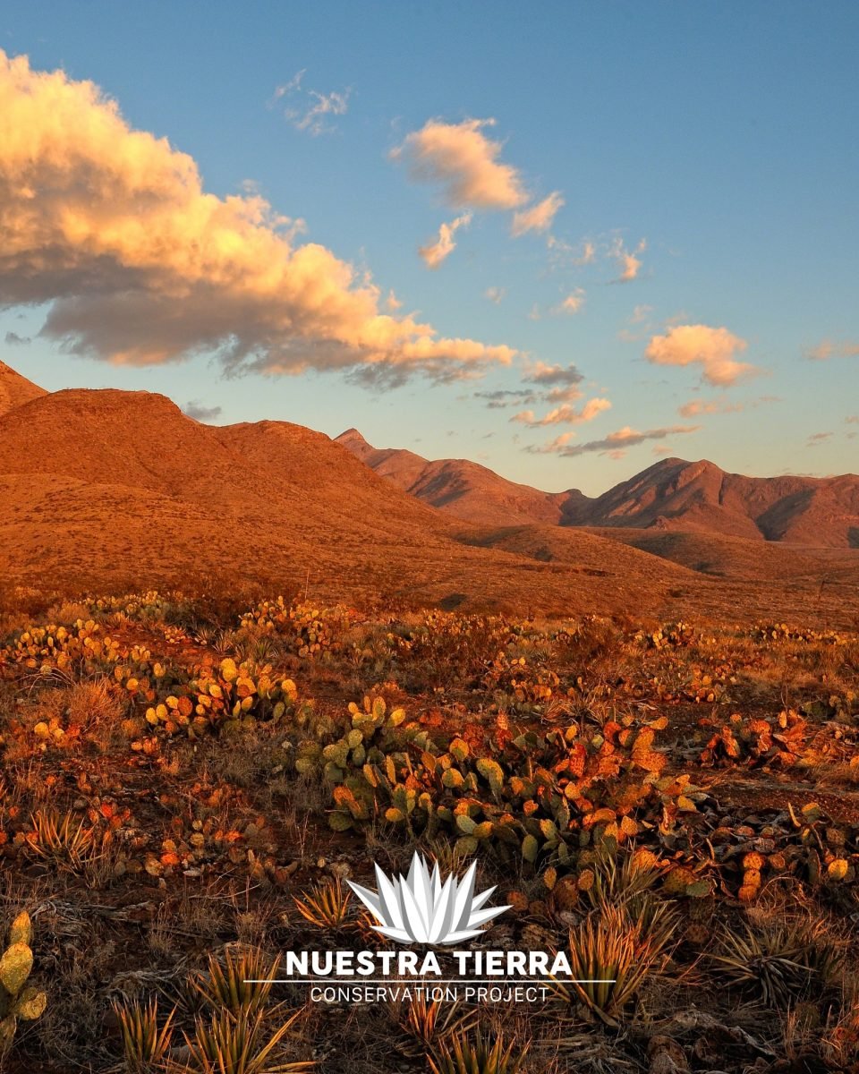A landscape view of Castner Range, with the Nuestra Tierra logo in white on the bottom