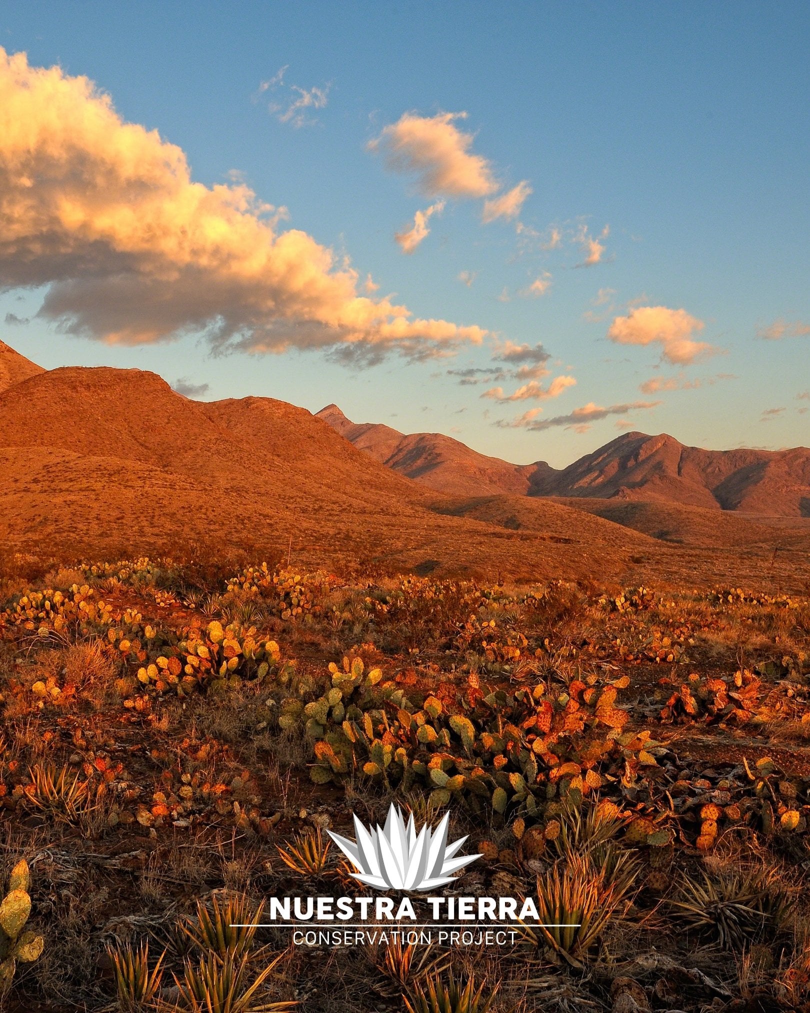 Diversifying National Monument Designation