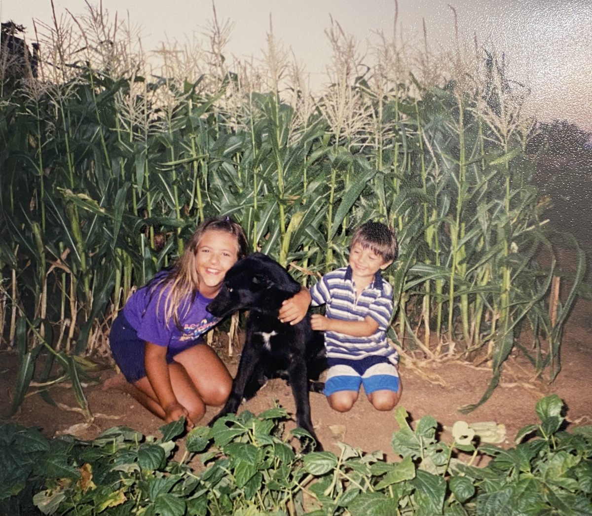 Two young children in a corn field with a black dog
