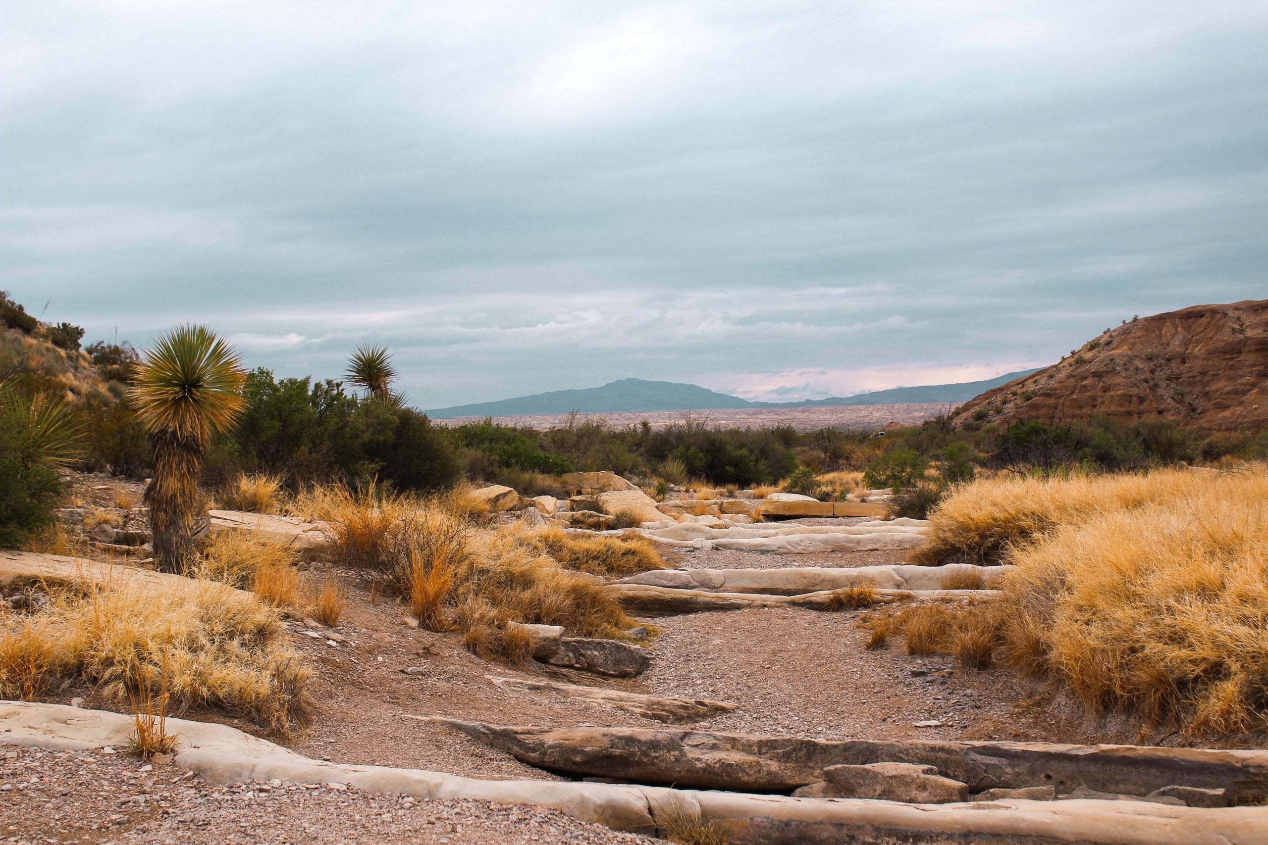 My Path to Ultra Running