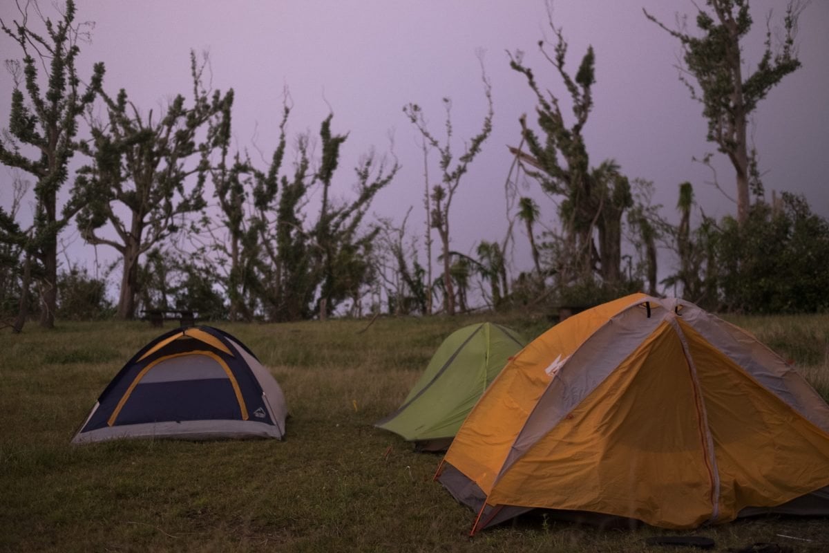 Three tents pitched in a grassy field with a few trees in the background