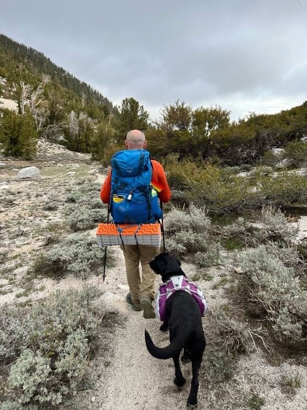 A man and his dog backpacking along the Tahoe Rim Trail