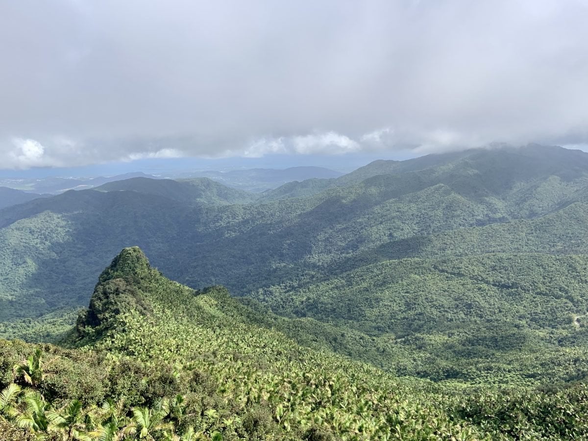 A landscape view of rolling hills covered in greenery