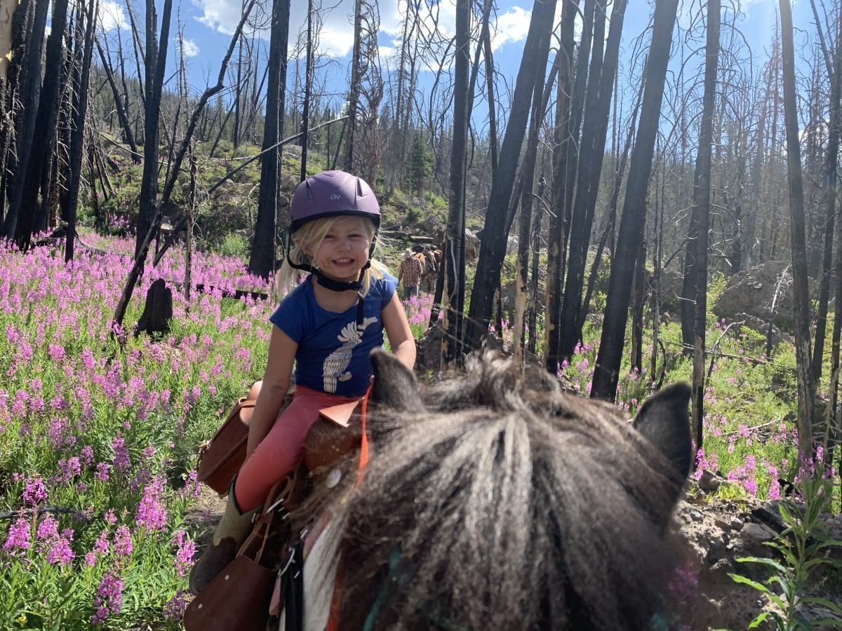 A girl on a horse wearing a purple helmet, among trees and purple flowers