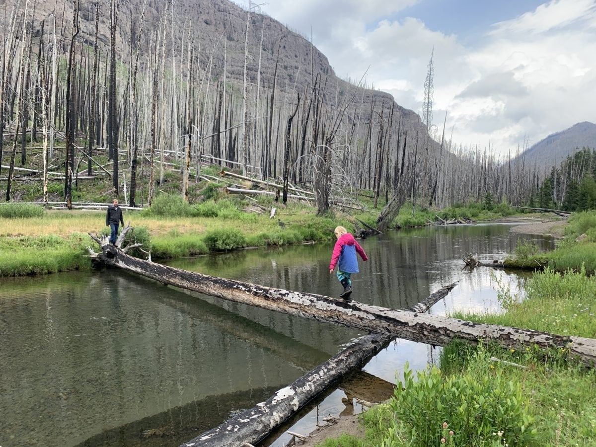 A girl crossing a river by walking over a downed tree