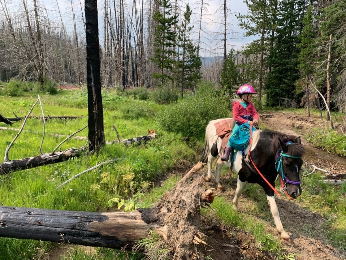 A girl on a horse wearing a pink helmet and jacket