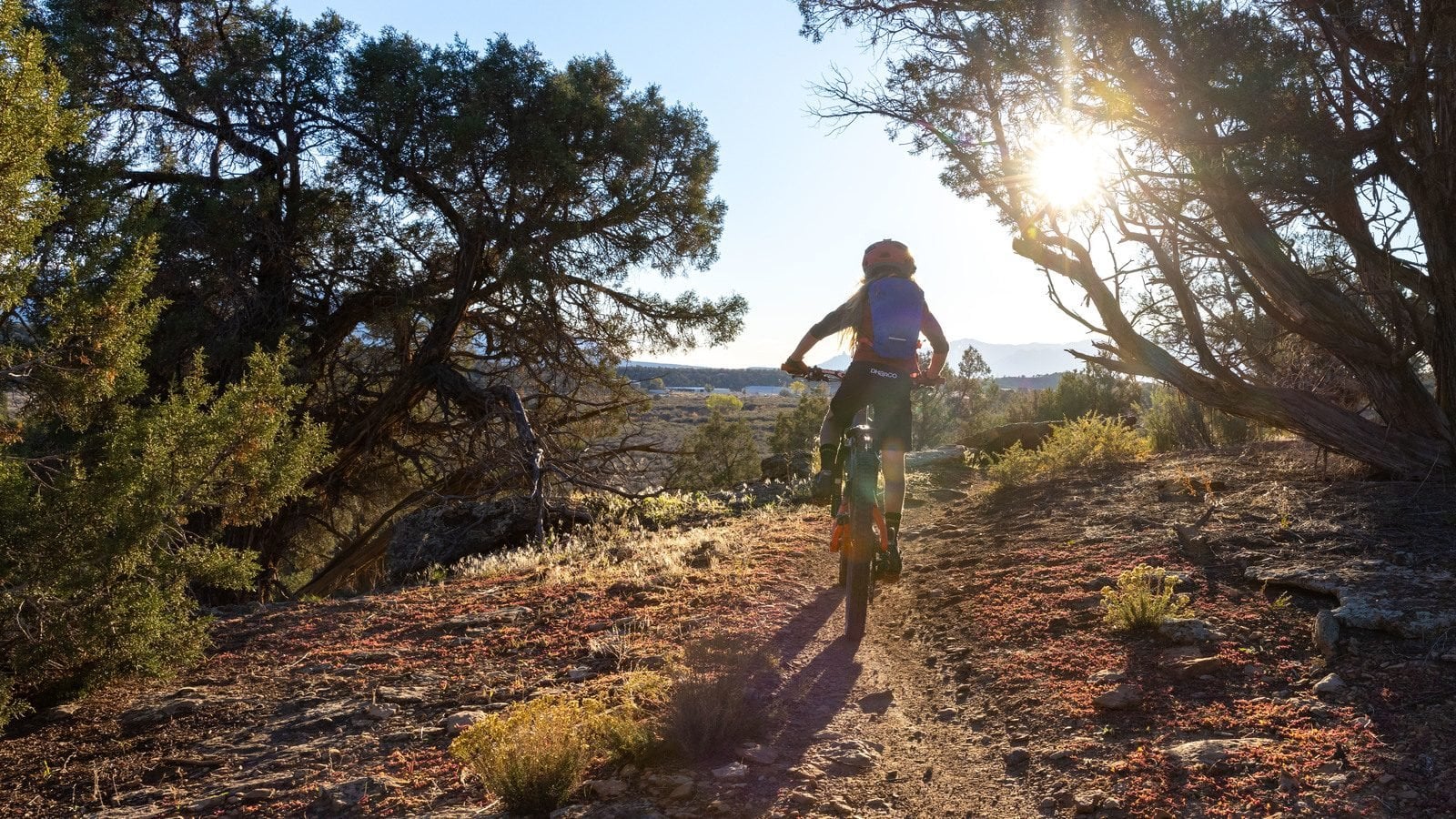 Desert Mountain Biking: What to Know, Where to Go