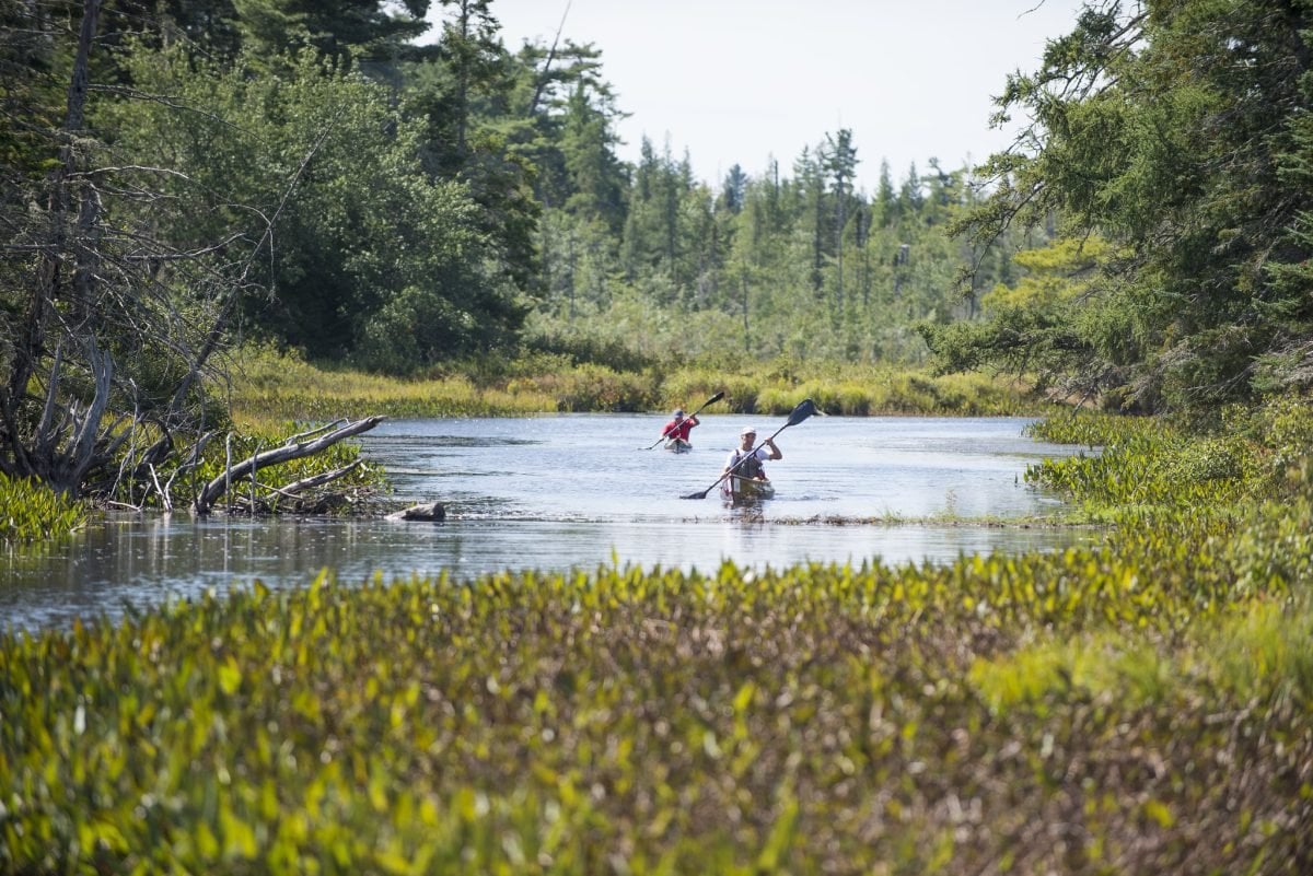Two kayakers on the river, with grass and trees on either side