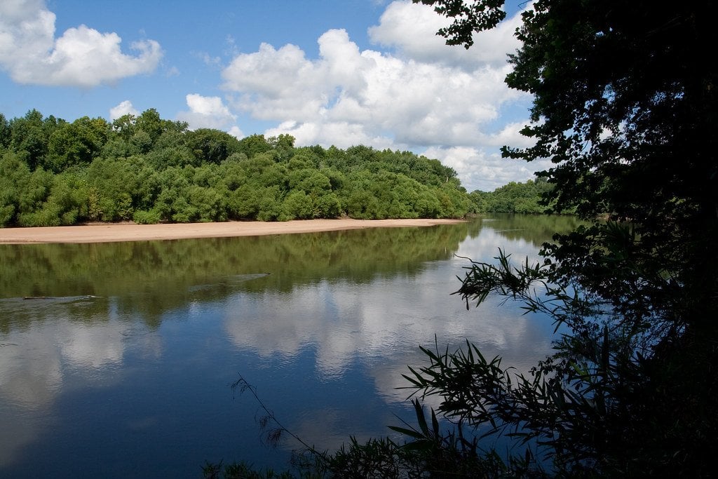 A landscape view of the Congaree River, with a river bank exposed and trees in the background