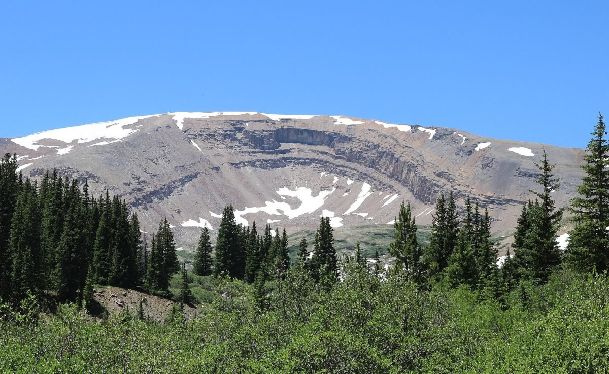 A landscape view of Horseshoe Mountain - with grass and trees in the foreground
