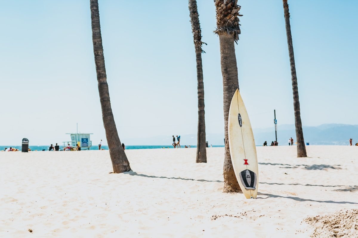 A surfboard standing up on a palm tree on the beach, with groups of people in the background