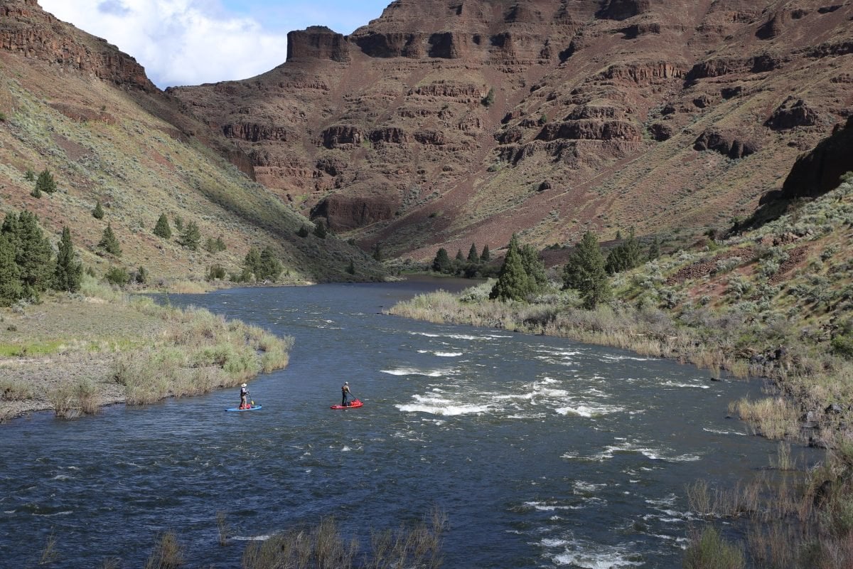 Two people on SUP on a river in a canyon