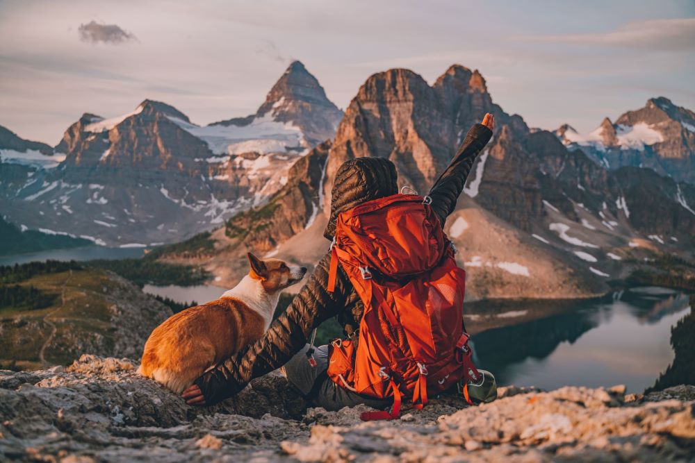 A woman and her dog sitting near a lake, wearing backpacking gear, and taking in the summit view