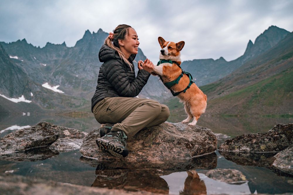 A woman and her corgi dog on a rock with mountains in the background