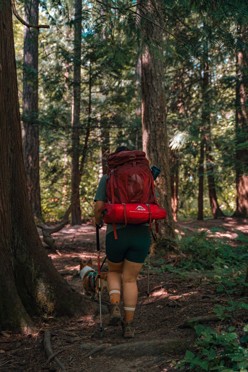 A woman and her corgi on the trail, equipped in backpacking gear