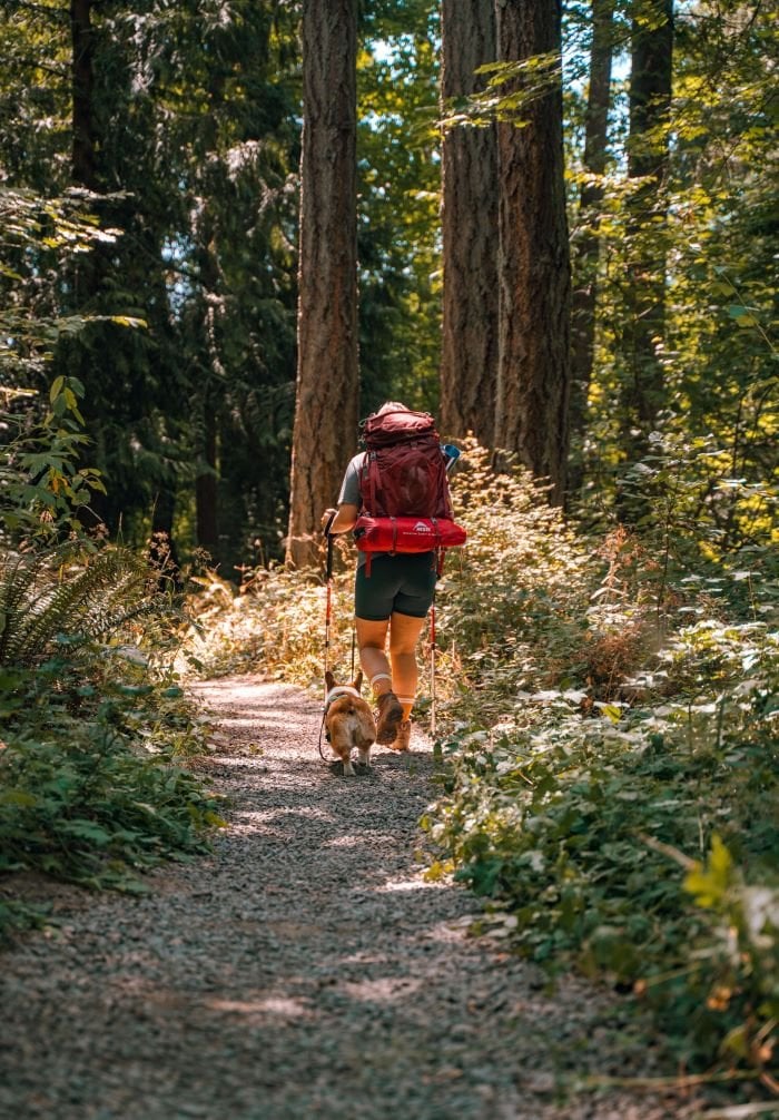 A woman and her dog on trail, wearing backpacking gear and holding trekking poles