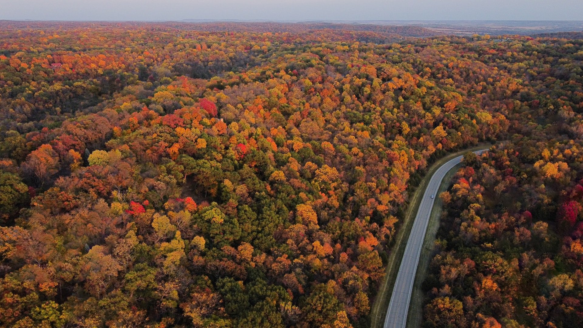 A Tour of the Midwest's Subtly Stunning National Forests