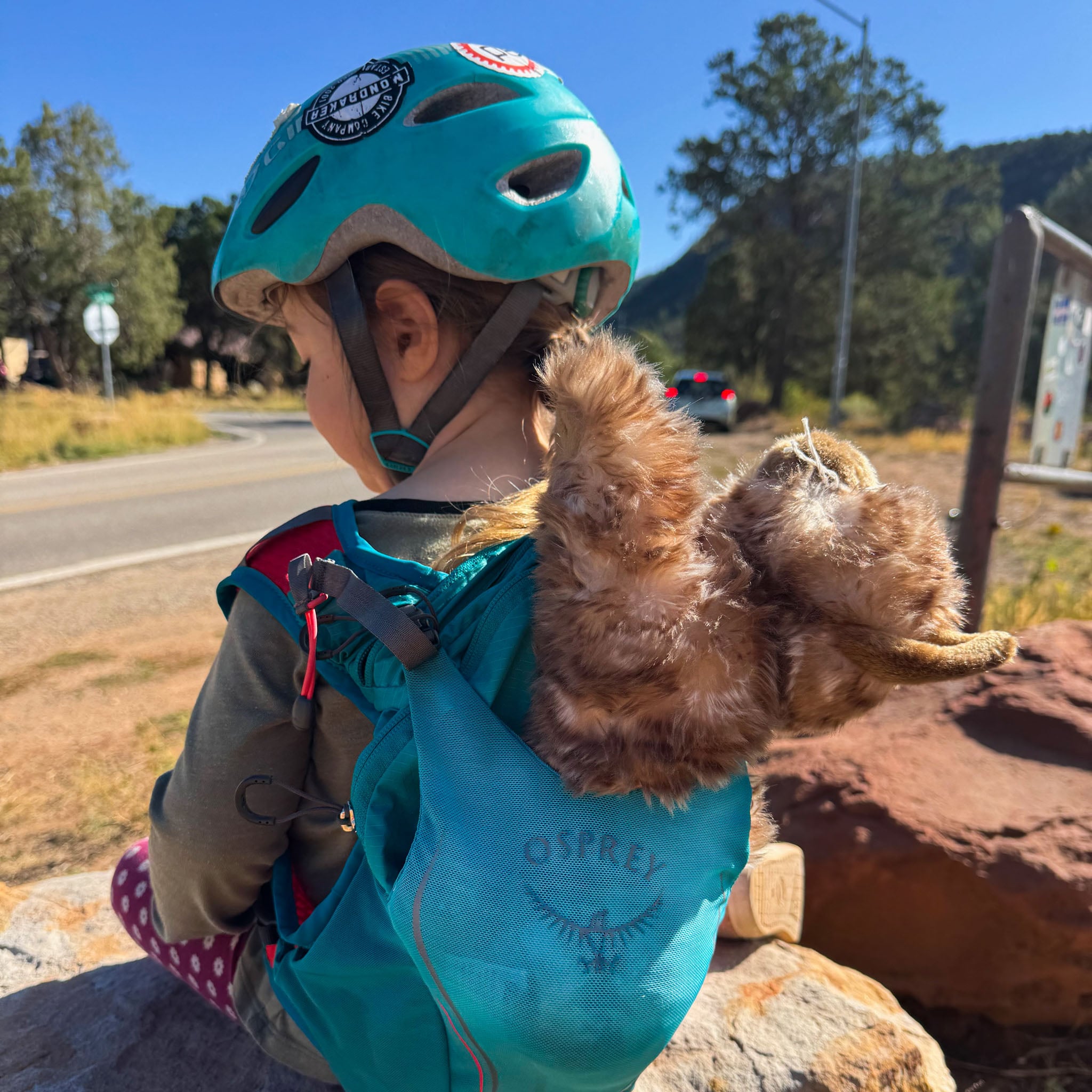 Our 2025 Osprey Pack Donations