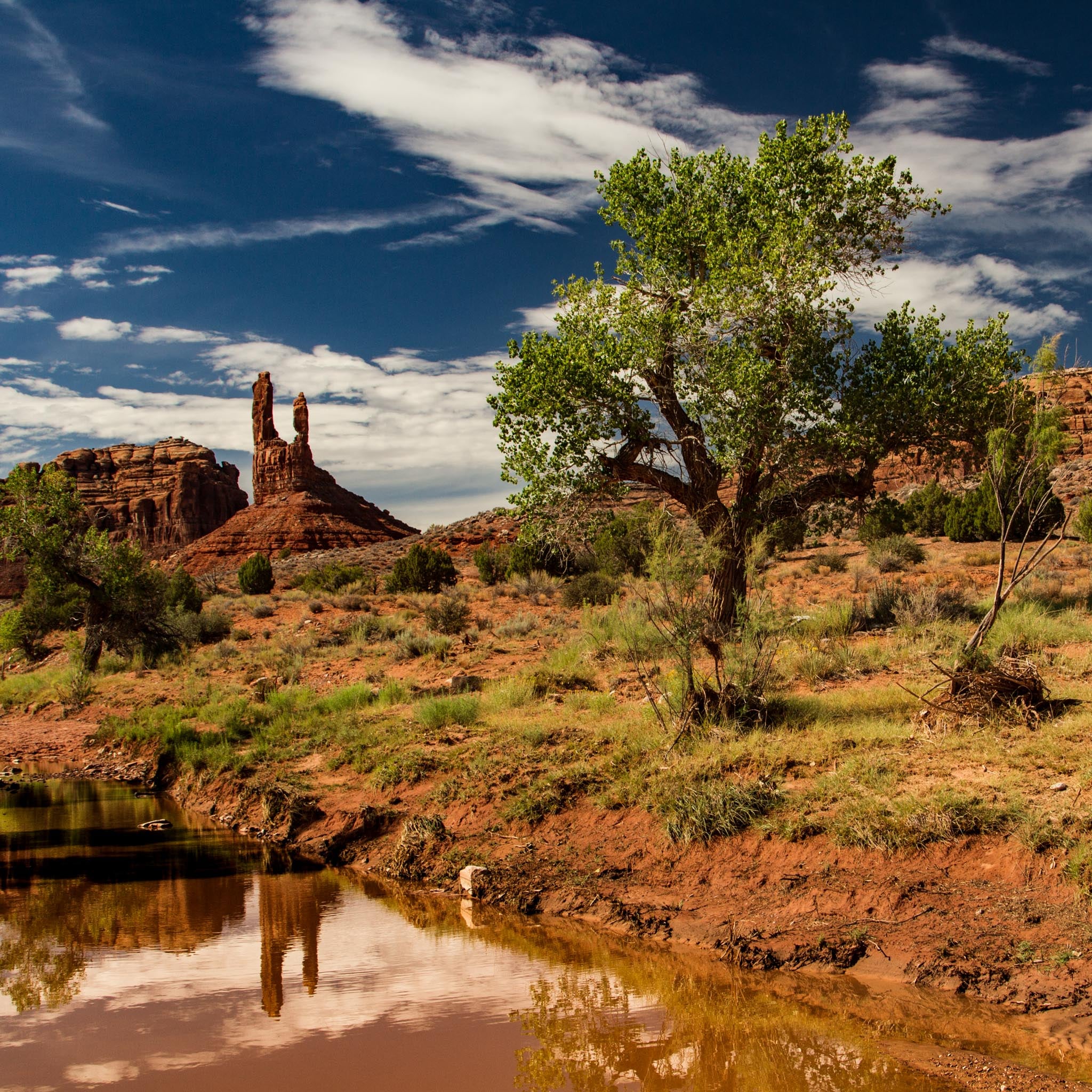 A desert scene of rock formations, trees, shrubs and a wet wash.