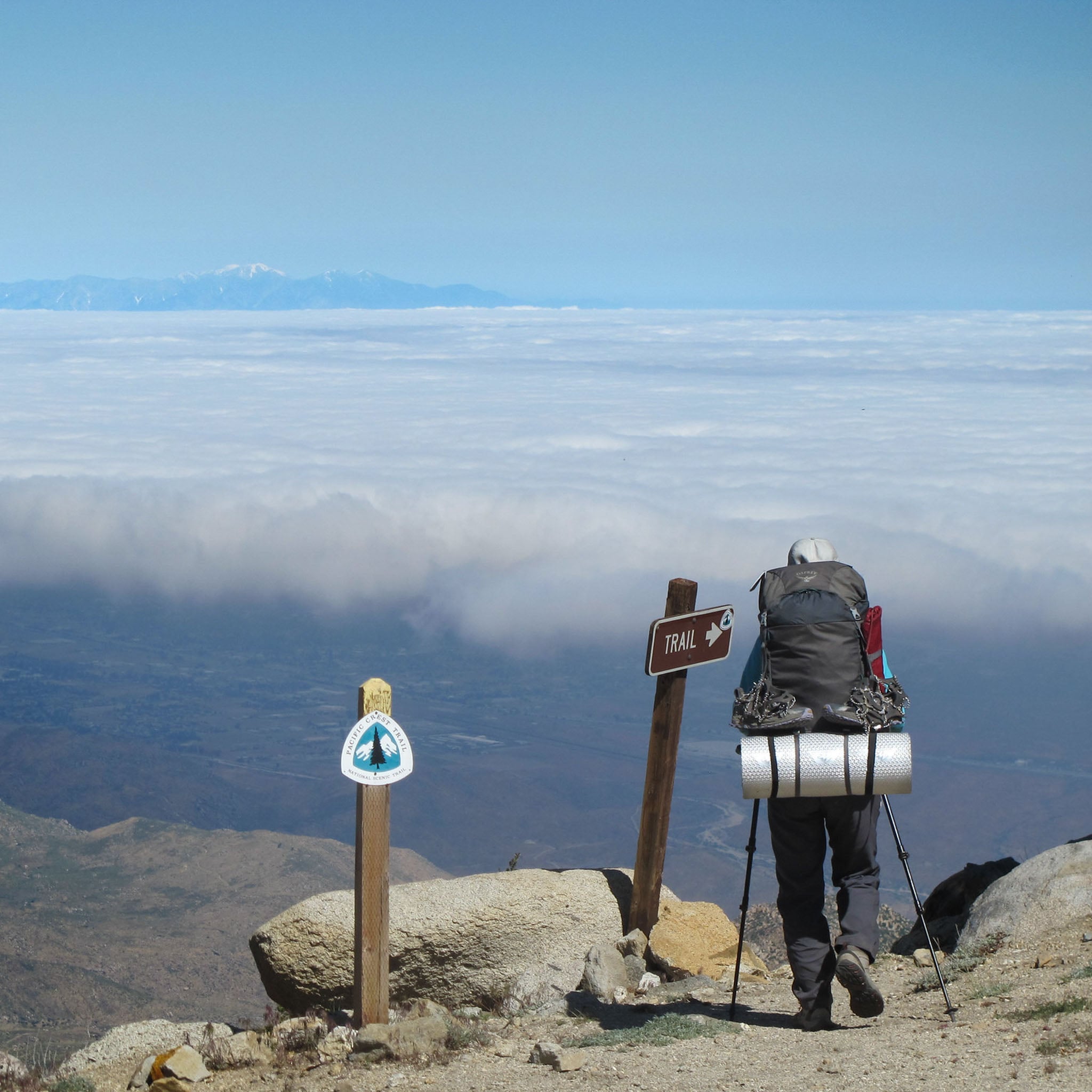 Advocacy, Connection, and Conservation