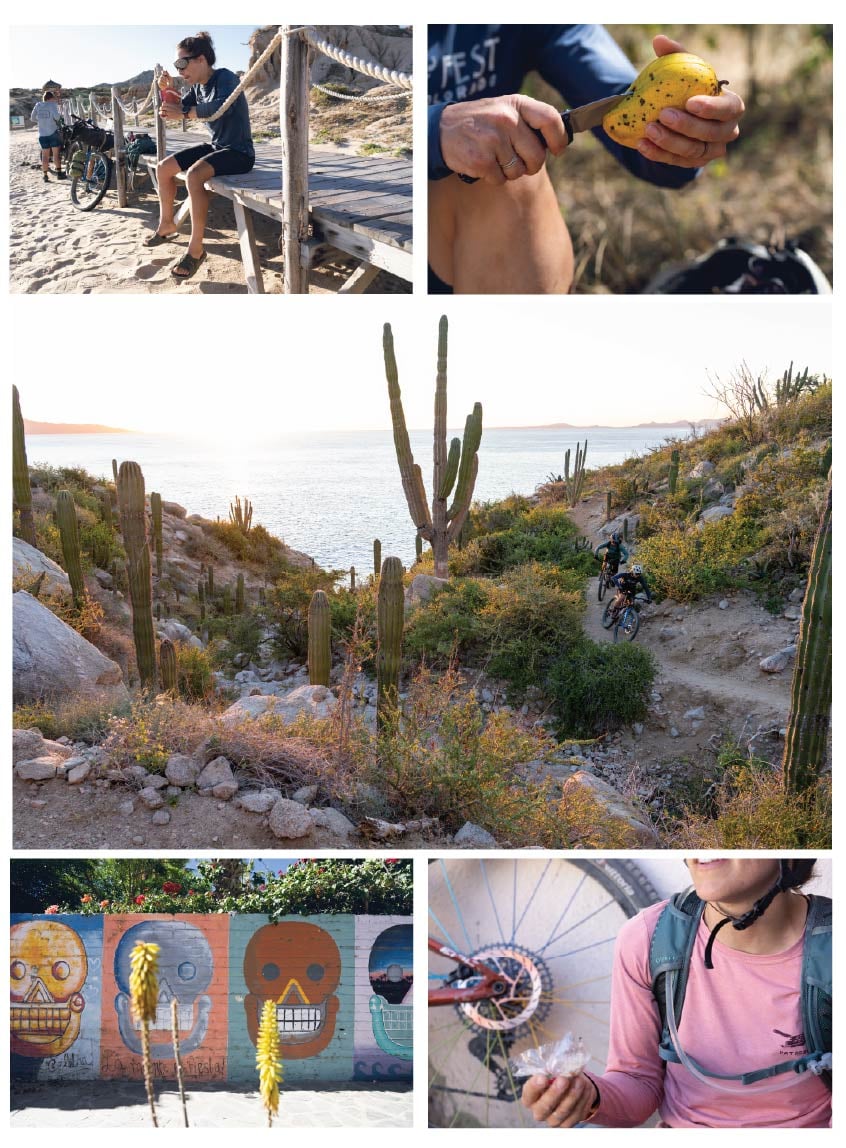 A collage of cycling and snacking photos from the Baja.