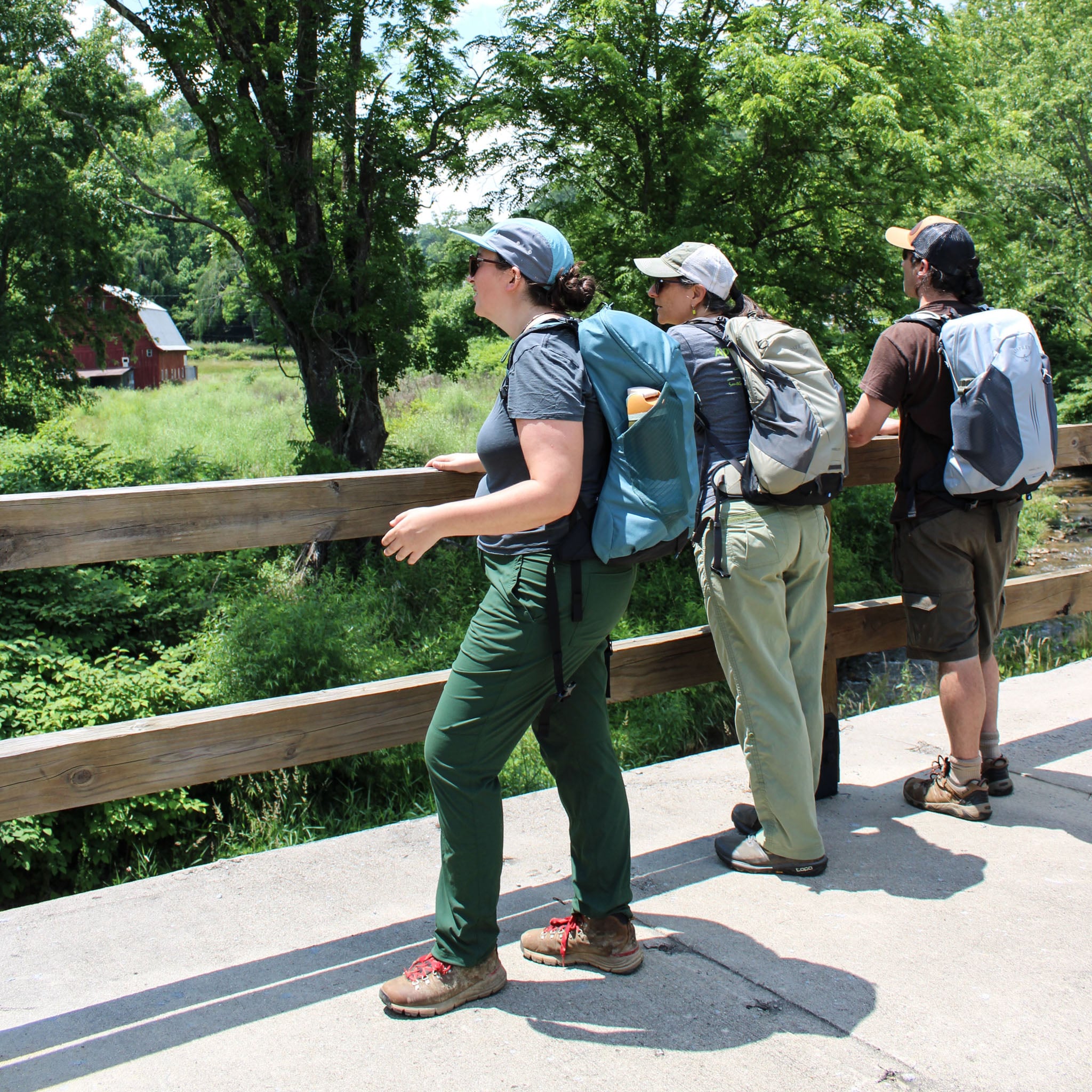 A group stands on a bridge overlooking a stream.
