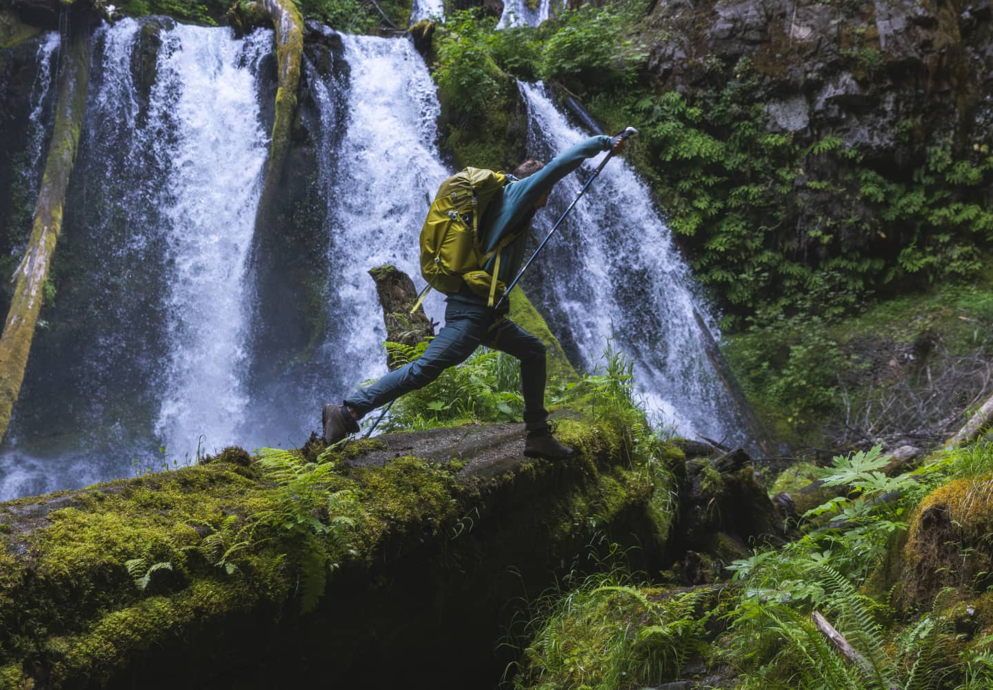 Sustainability Background Image