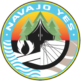 NAVA Logo