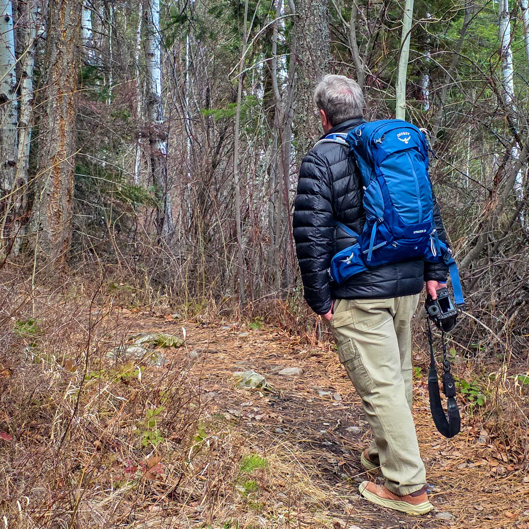A person hikes through the forest carrying a camera.
