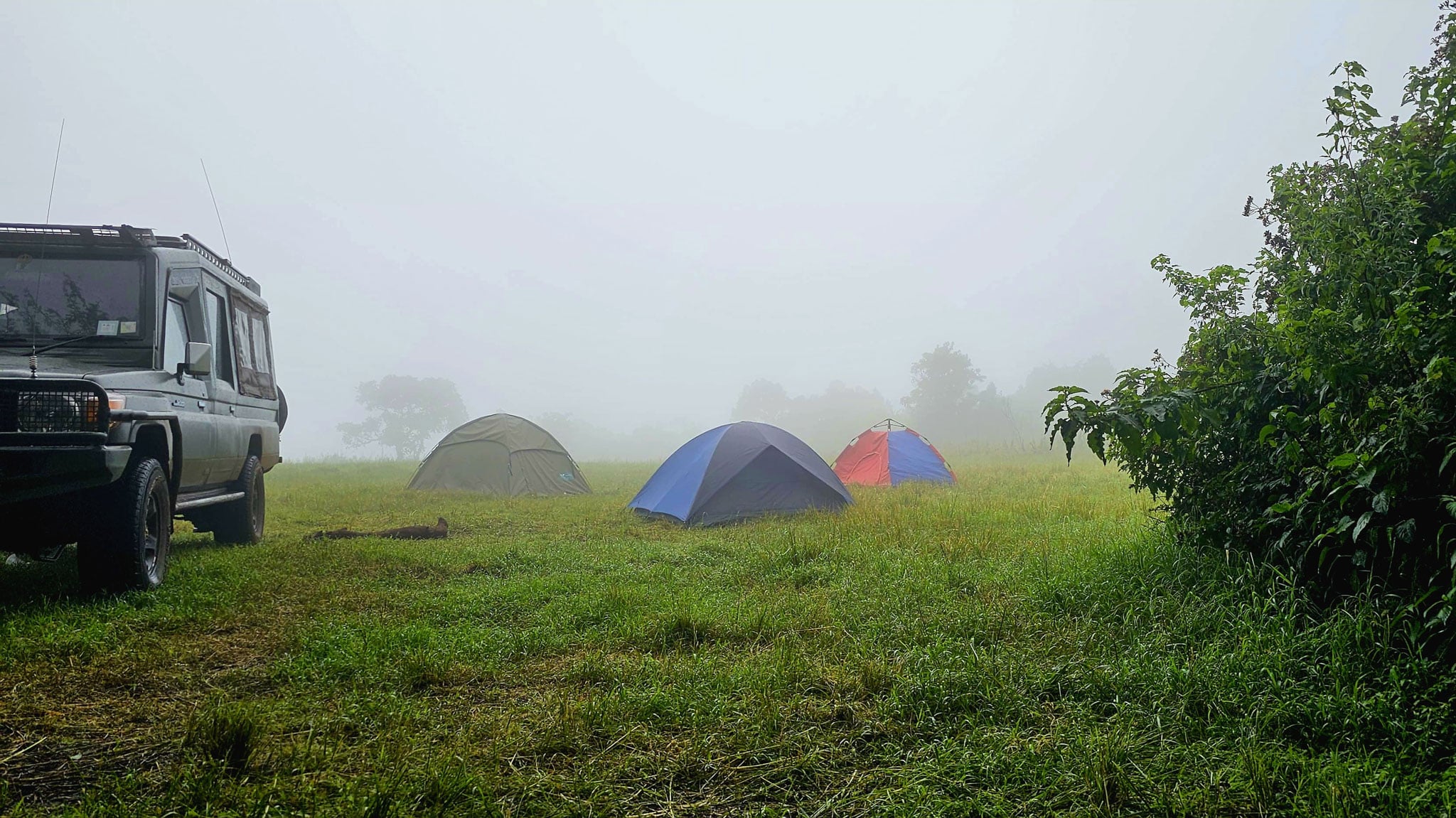 Tents set up in the grass next to a car in the fog.
