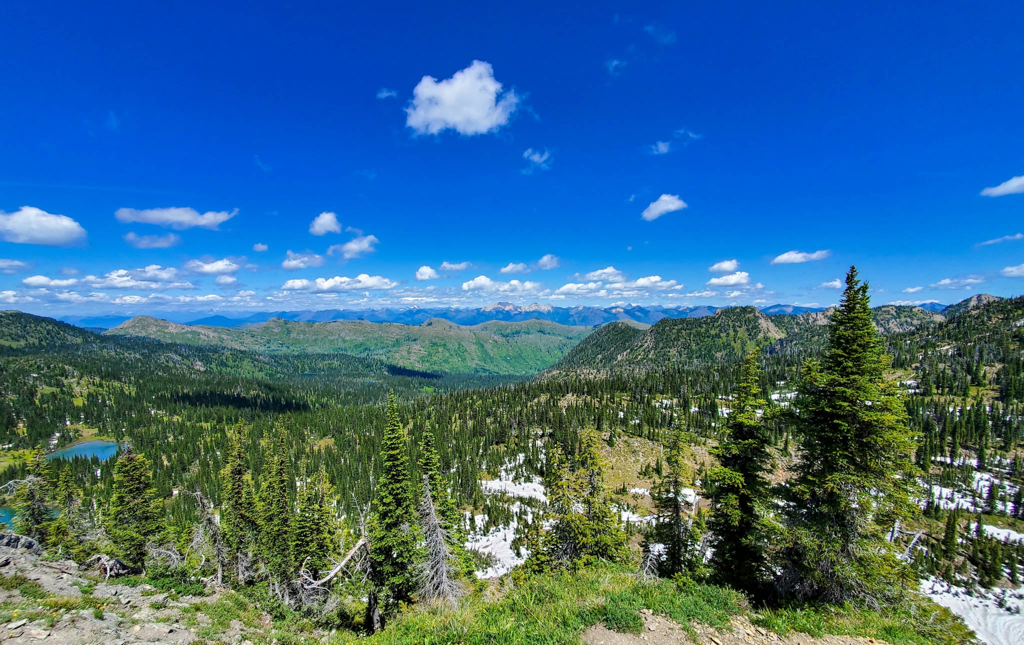 A large blue sky over a forested expanse of land.