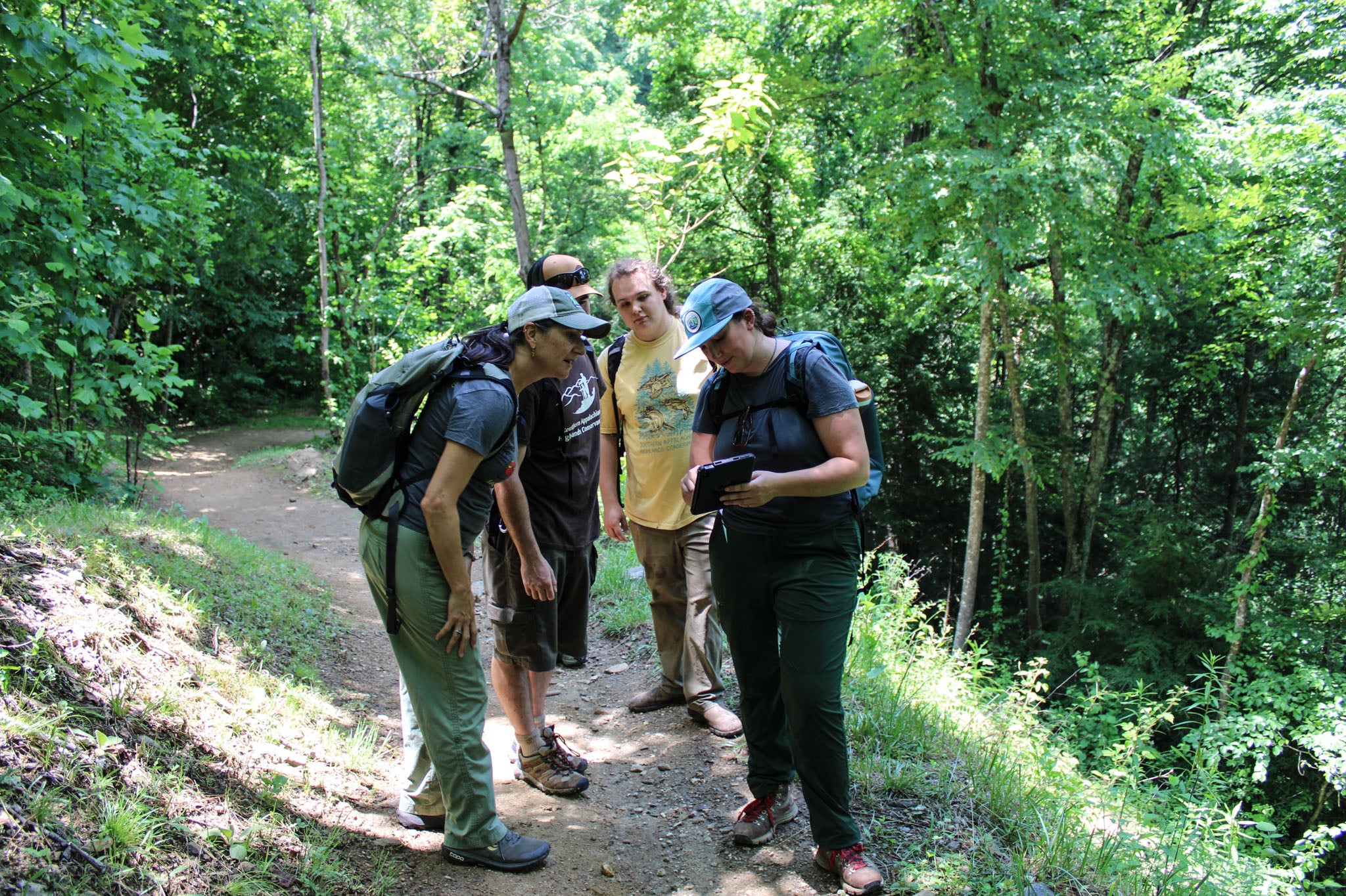 A group gathers around a tablet on the trail to view the monitoring system.