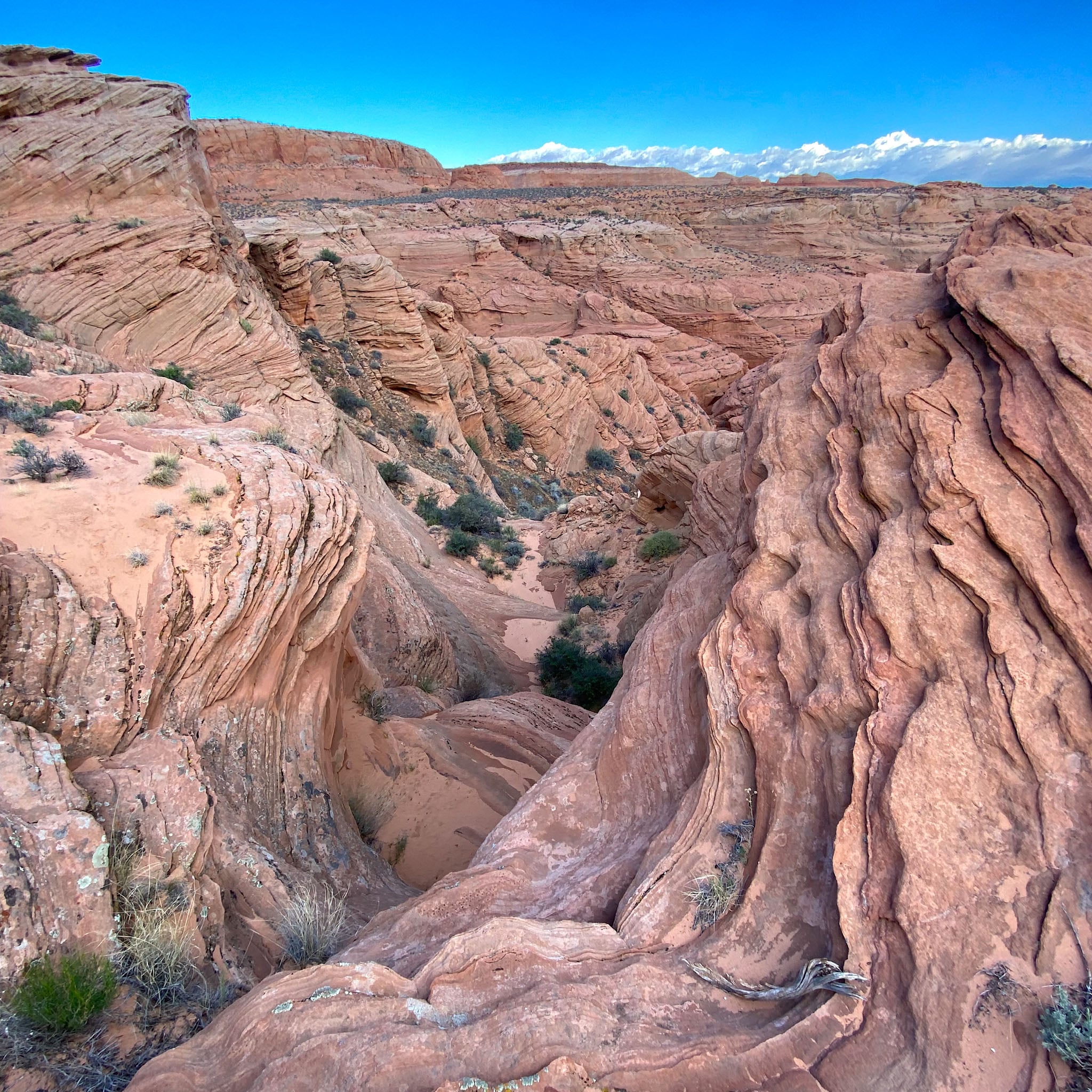A sandy, rocky canyon under blue skies.