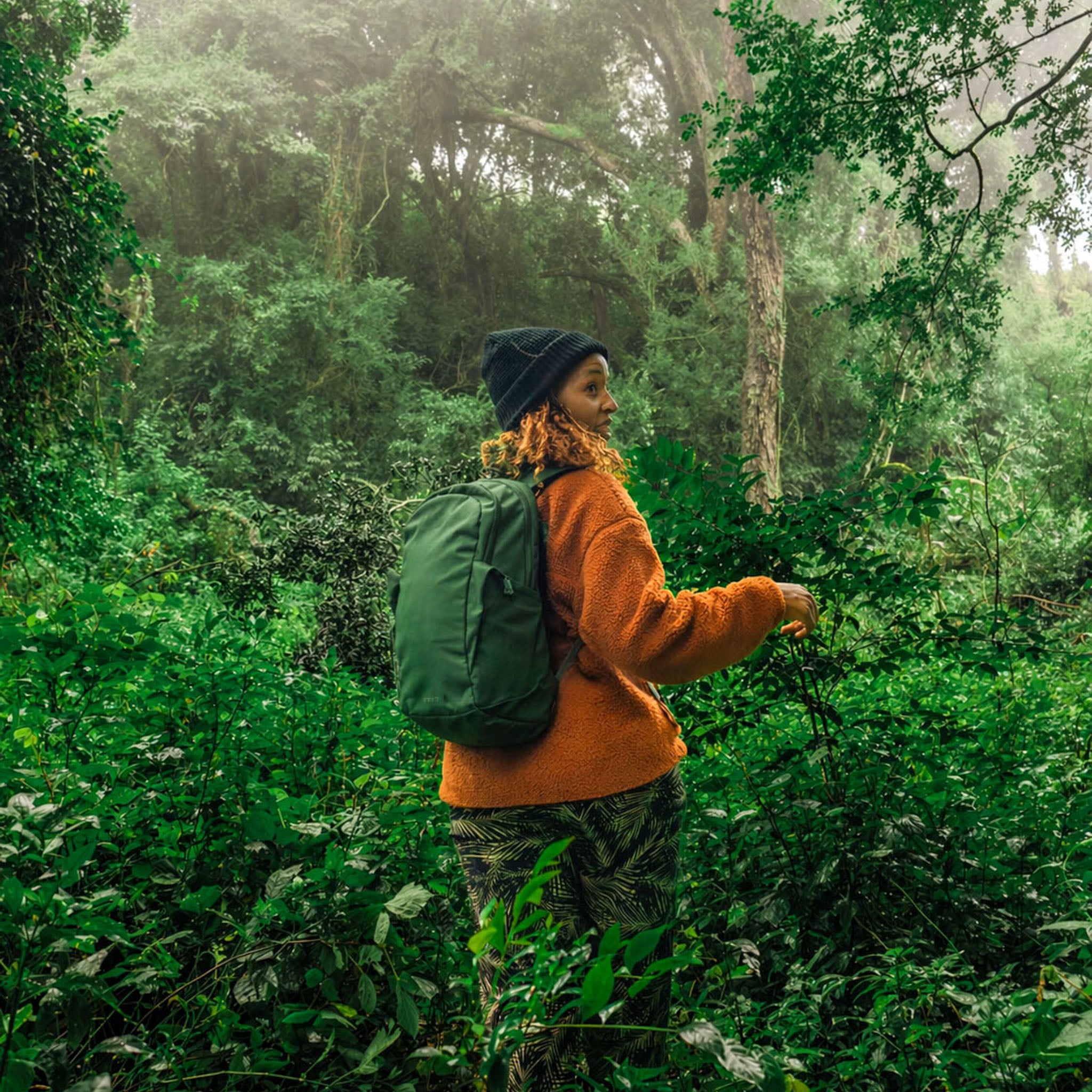 One person walks through a lush forest.